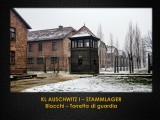 visita ad Auschwitz